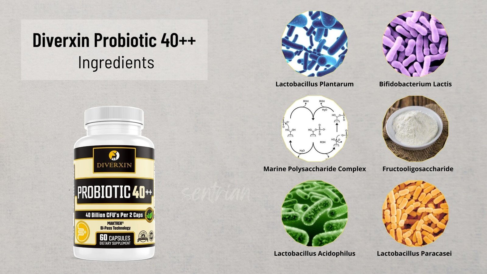 Diverxin Probiotic 40++ Ingredients