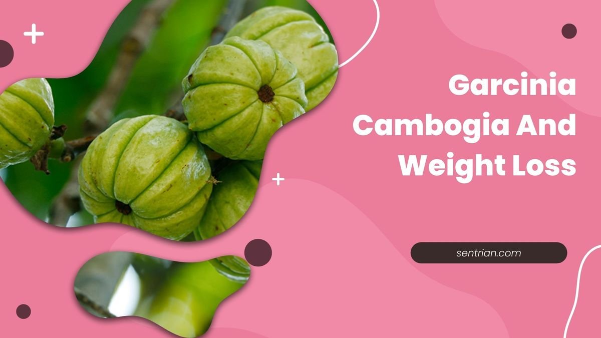 Garcinia Cambogia And Weight Loss