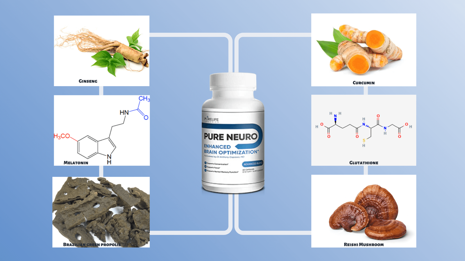 Pure Neuro Ingredients