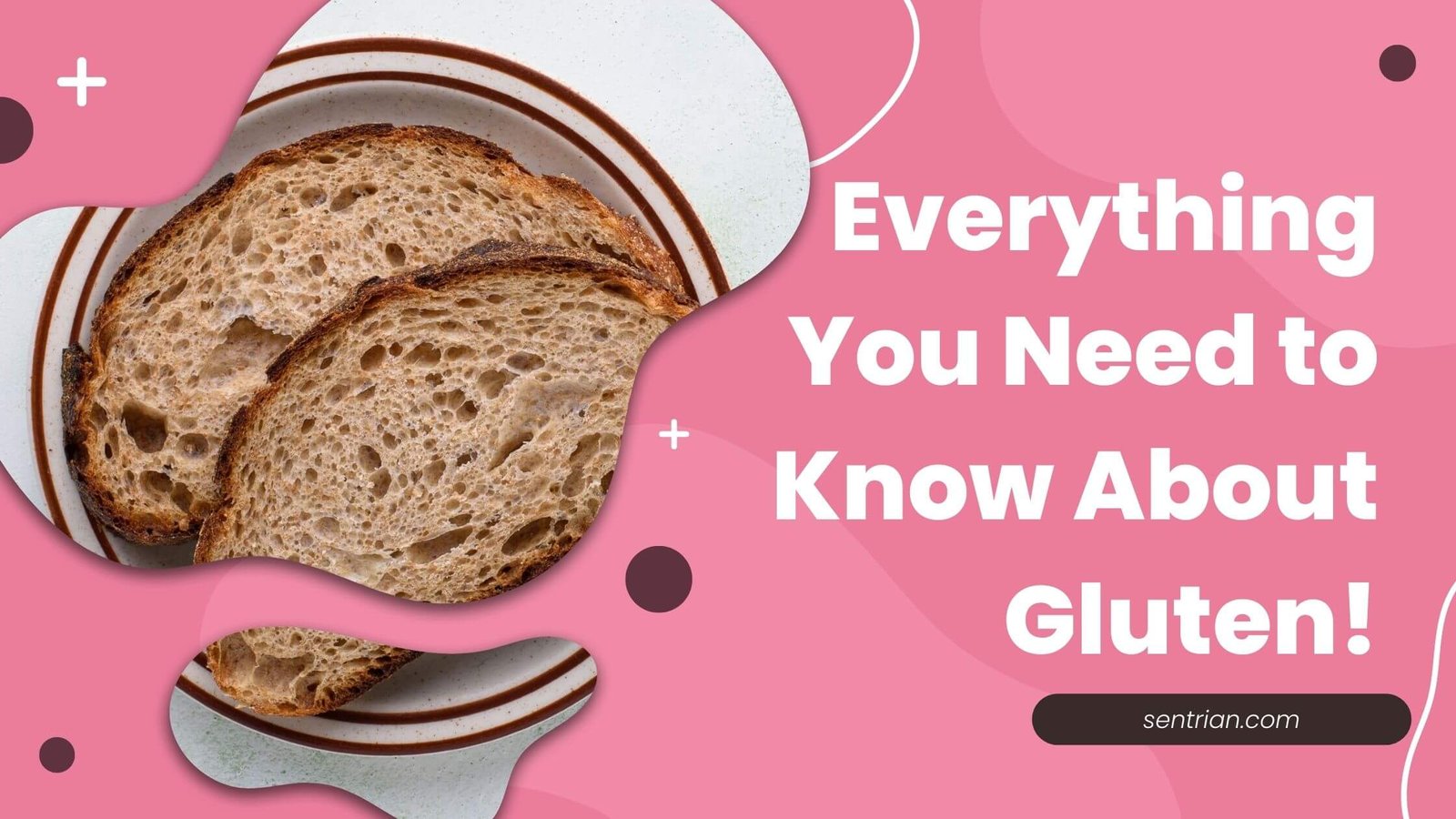 Everything You Need to Know About Gluten!