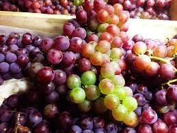 grape seed extract