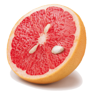Grapefruit Seed