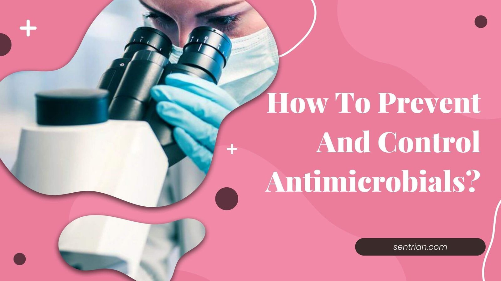 How To Prevent And Control Antimicrobials Useful Remedies!