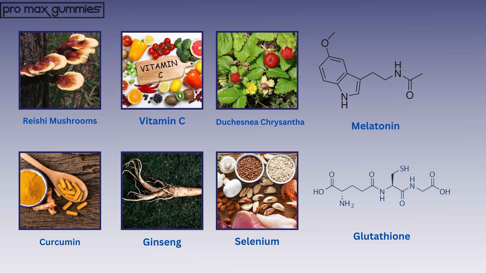 Mushroom Brain Boost Pro Max Gummies Ingredients