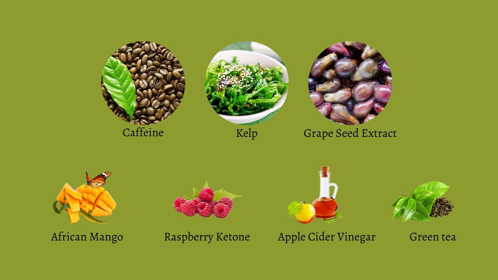 Raspberry Ketone Plus Ingredients