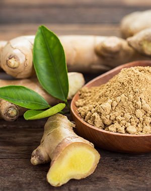 Flat Belly Tea ingredient ginger