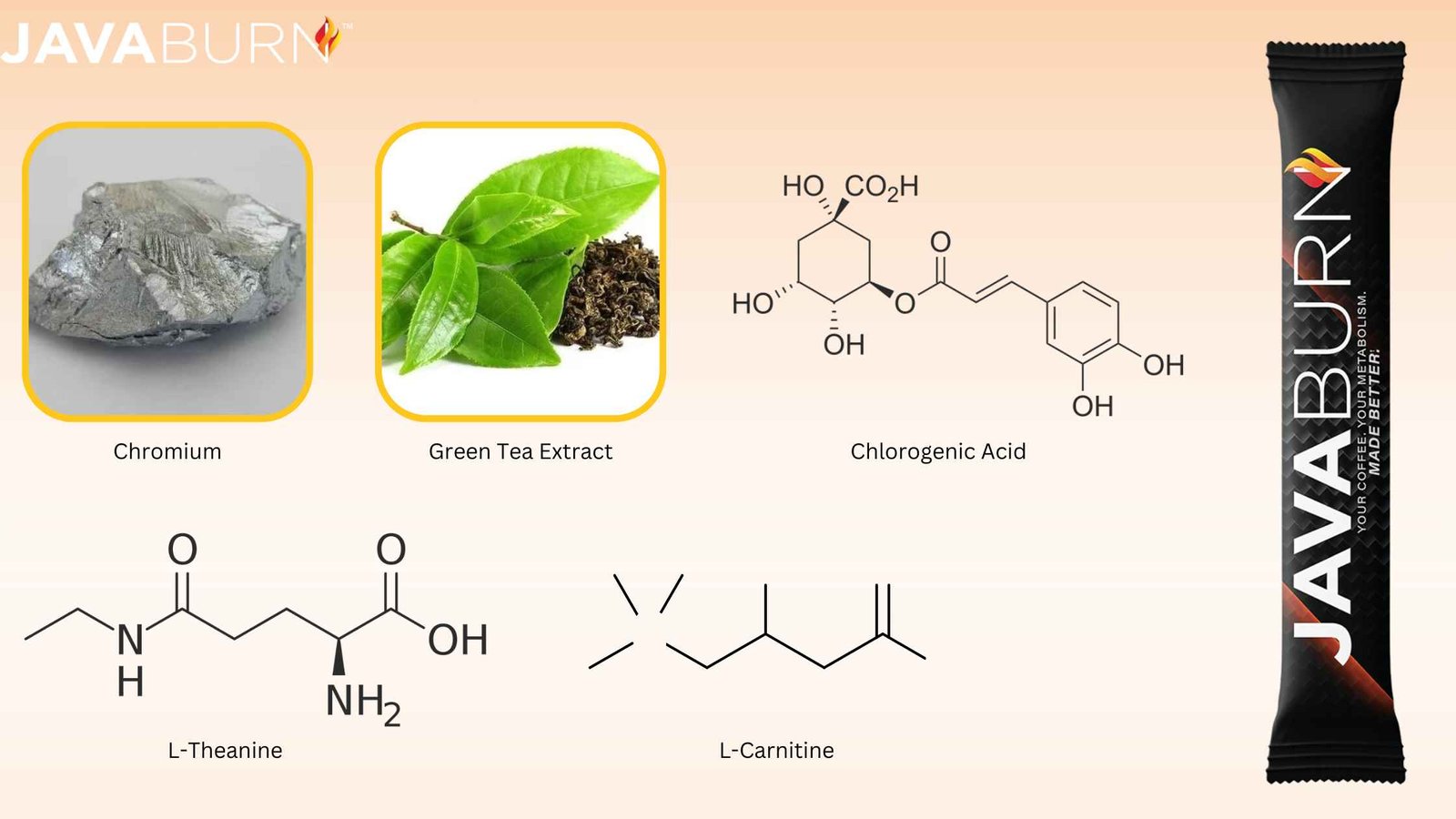 Java Burn Benefits