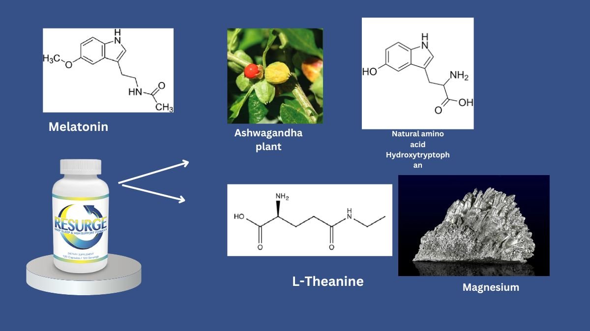 Resurge Ingredients