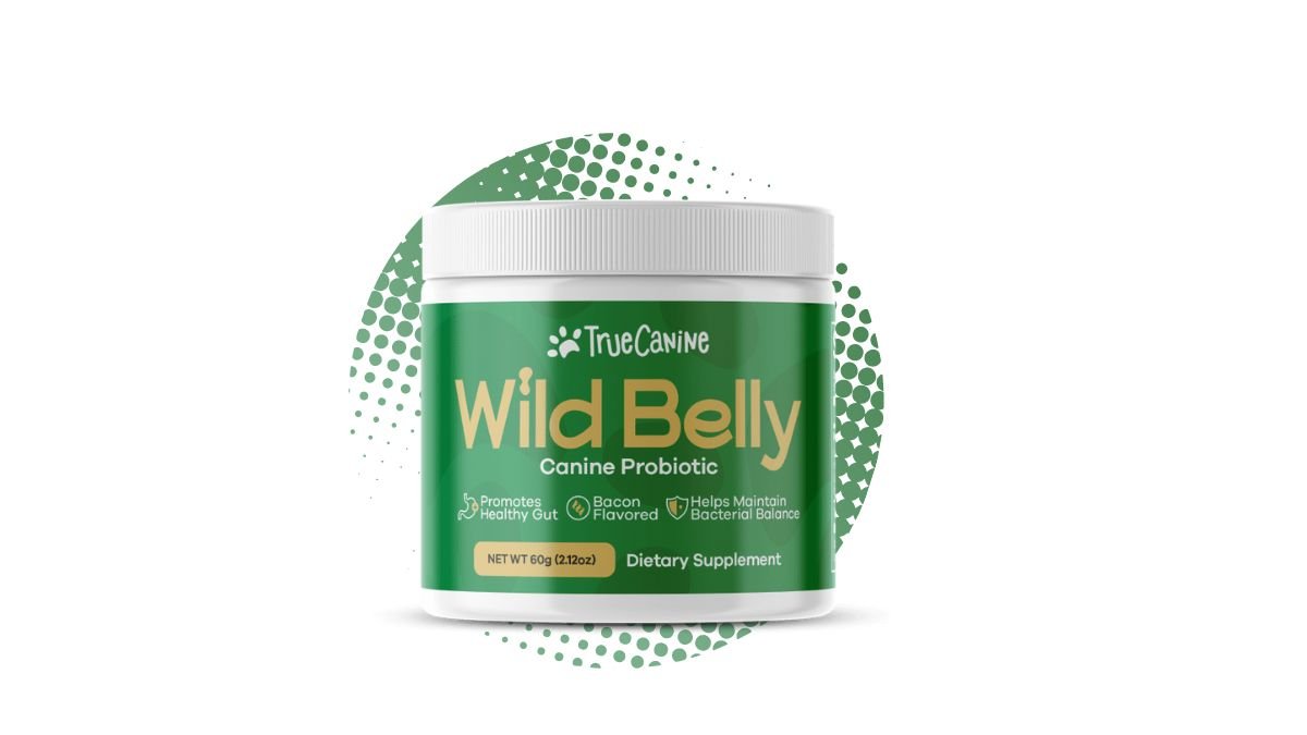 Wild Belly Dog Probiotic Reviews