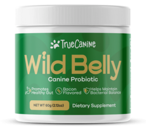 wild belly canine probiotic
