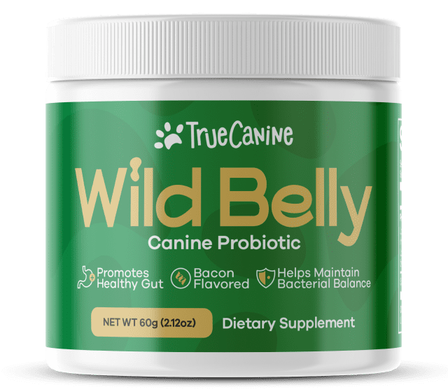 wild belly canine probiotic